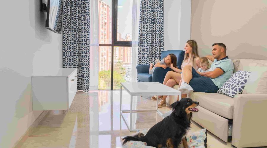Stay with your pet! Magic Atrium Plaza Apartments Benidorm Stay with your pet! Magic Atrium Plaza Apartments Benidorm