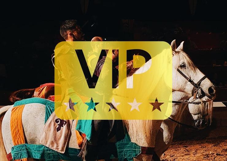 Dinner-Show 'Medieval Challenge' (VIP Pass) Magic Atrium Plaza Apartments Benidorm Dinner-Show 'Medieval Challenge' (VIP Pass) Magic Atrium Plaza Apartments Benidorm